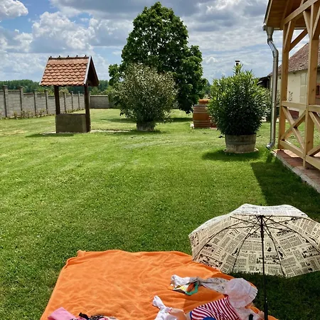 Dióhéj * Diosviszlo