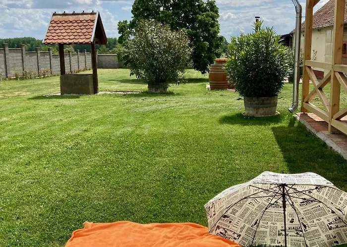 Diohej Vendeghaz * Diosviszlo