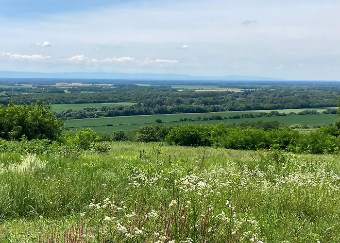 Diohej Vendeghaz 게스트하우스